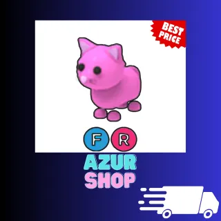 FR Pink Cat