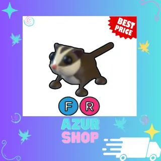 FR Sugar Glider