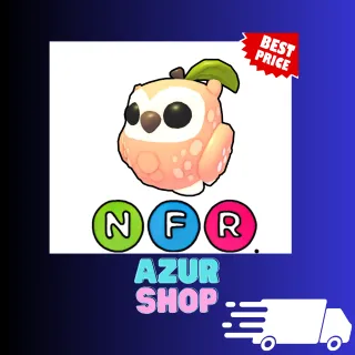 NFR Peach Owl