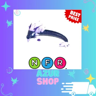 NFR Midnight Dragon