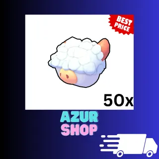 50x Aberdeen Angus Box