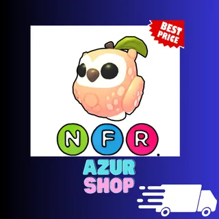 NFR Peach Owl