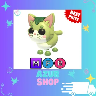 MFR Matcha Cat