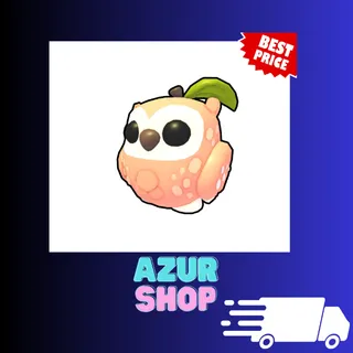 Peach Owl