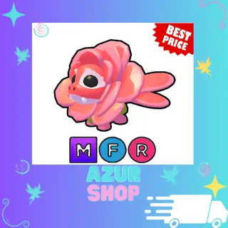 MFR Rose Dragon