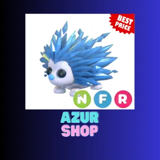 NFR ICY PORCUPINE