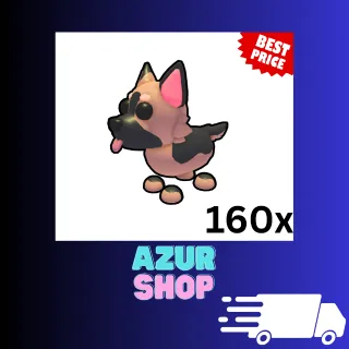 160x German Shepherd