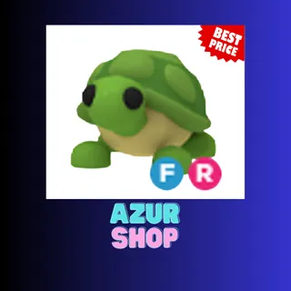 FR TURTLE