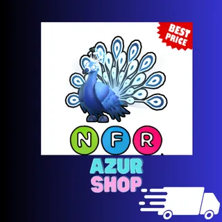 NFR Moonbeam Peacock