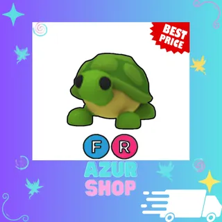 FR Turtle