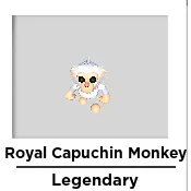 10x royal capuchin monkey