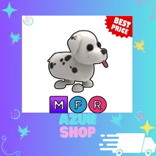 MFR Dalmatian
