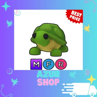 MFR Turtle