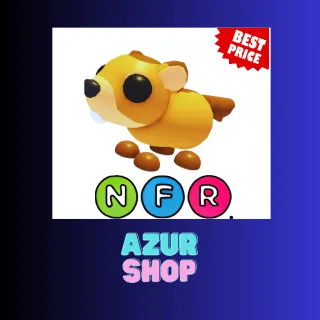NFR GROUNDHOG