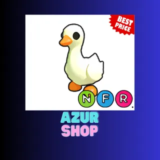 NFR GOOSE