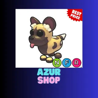 NFR AFRICAN WILD DOG