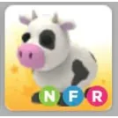 NFR Cow