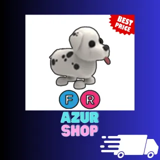 FR Dalmatian