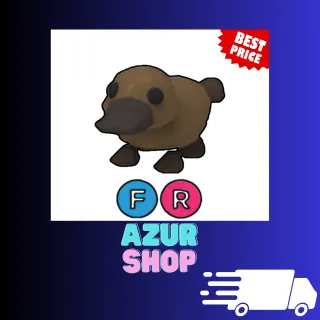 FR PlatyPus