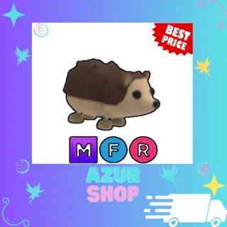 MFR Hedgehog