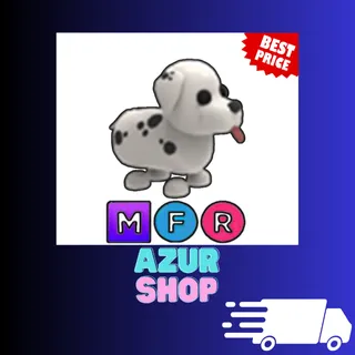 MFR Dalmatian