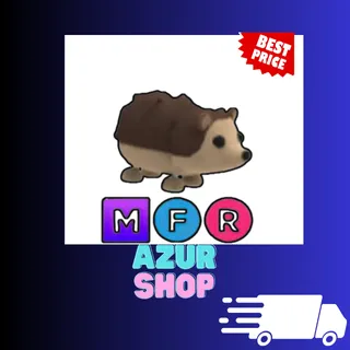 MFR Hedgehog