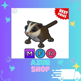MFR Sugar Glider