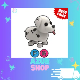 FR Dalmatian