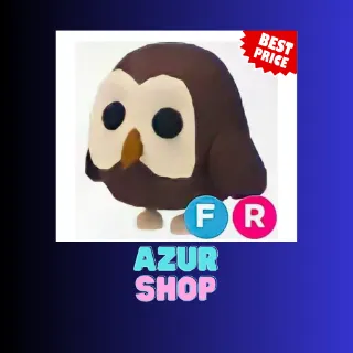 FR OWL