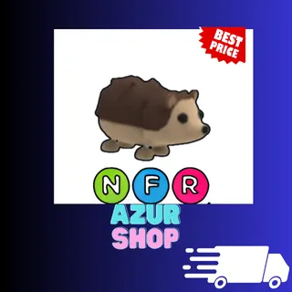 NFR Hedgehog