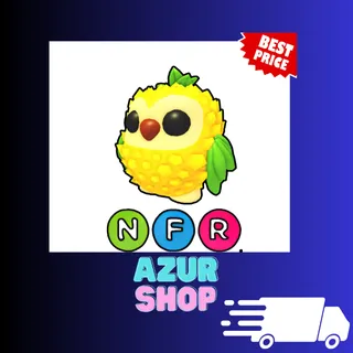 NFR Pineapple Owl
