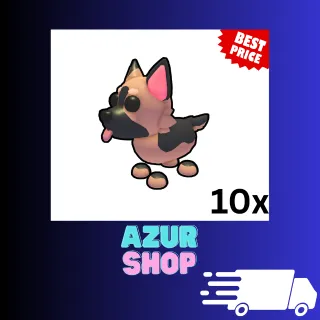 10x German Shepherd