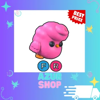 FR Candy Floss Chick