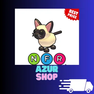 NFR Siamese Cat