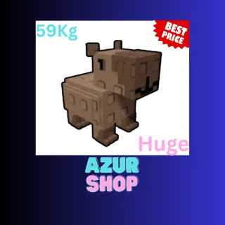 Mega Huge Cpaybara 59Kg Grow a Garden