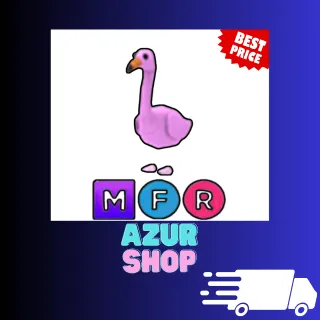 MFR FLAMINGO
