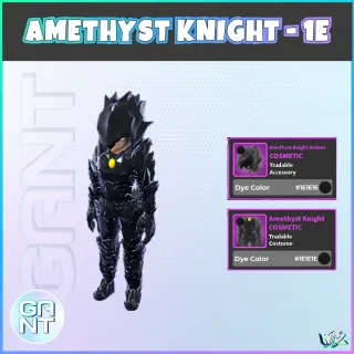 Amethyst Knight - 1E (Black) Set