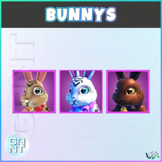 Bunny Mount - Pack