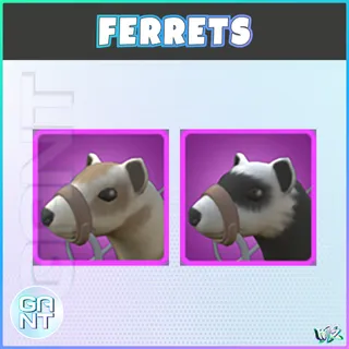 Ferret Mount Pack