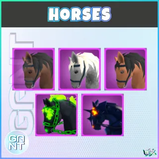 Horse Mount - Pack