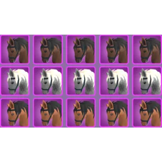 5x of each Horse Mount