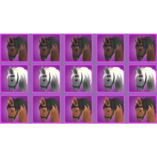 5x of each Horse Mount