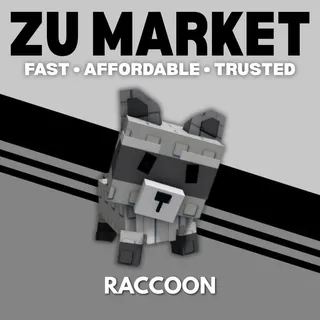 Raccoon
