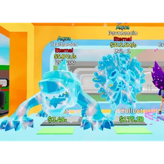 X2 Aqua Traledon & Pavonaccio 2Trait