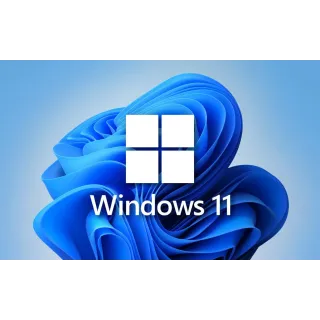  Windows 11 pro 