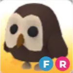 FR OWL
