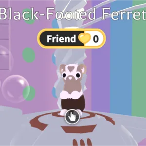 MFR black footed ferret