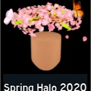 Spring Halo 2020