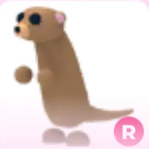 ride meerkat