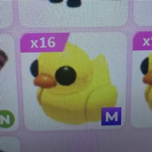 16 mega ducks
